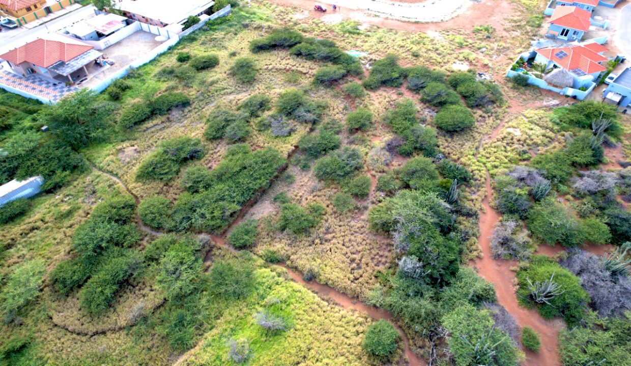 Property Land Sabana Liber Noord