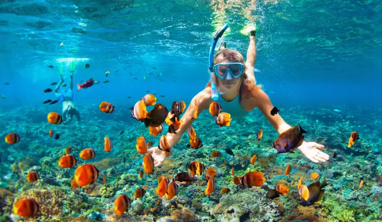 Snorkeling Spots in Aruba