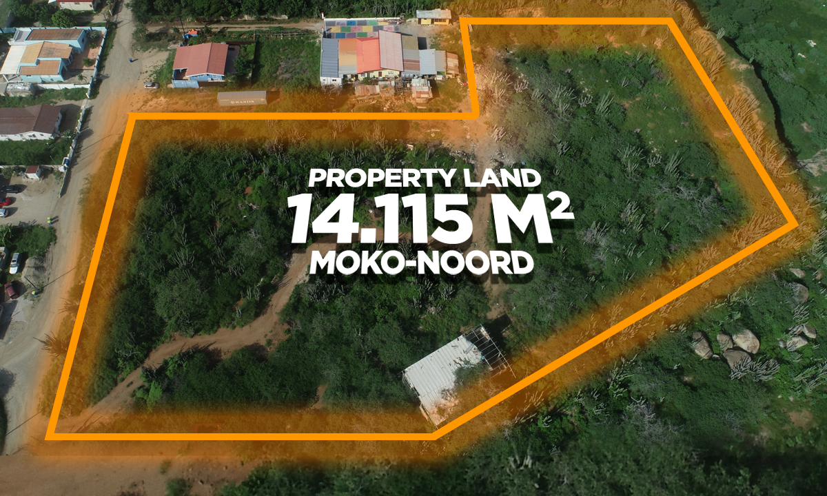 MOKO-NOORD